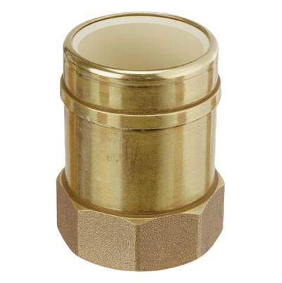 Sioux Chief Adapter - 1-1/2" FIP x 1-1/2" CPVC Socket in No Lead