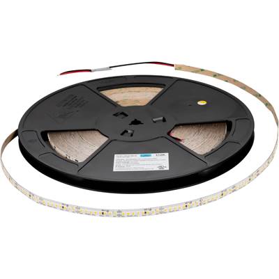 Task Lighting Single-White 24V Tape Light - 100' - 600 Lumens/ft - 3000K