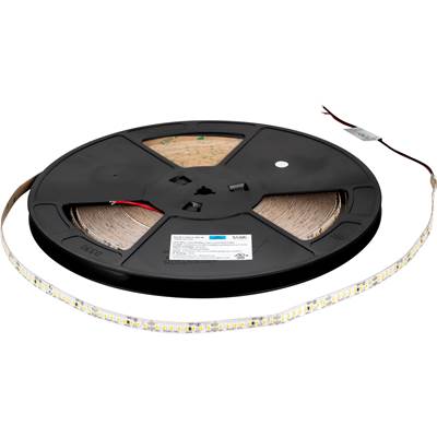 Task Lighting Single-White 24V Tape Light - 100' - 600 Lumens/ft - 4000K