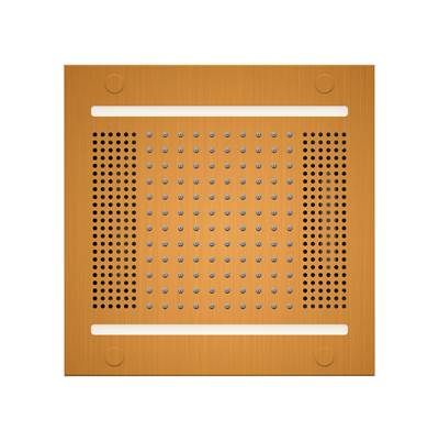 ThermaSol Hydrovive Light, Sound, Rain - System 14 in Antique Brass