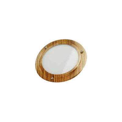ThermaSol Shower Light in Antique Brass