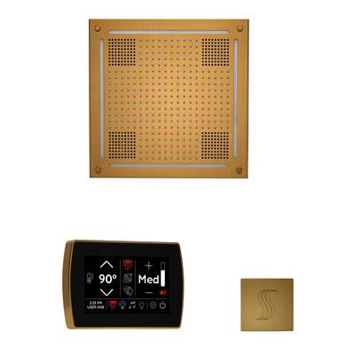 ThermaSol Wellness Hydrovive Steam Package - SignaTouch Square in Antique Brass