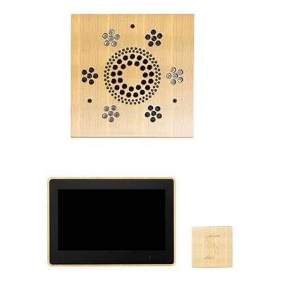 ThermaSol Wellness Steam Package - ThermaTouch 10" Square in Antique Brass