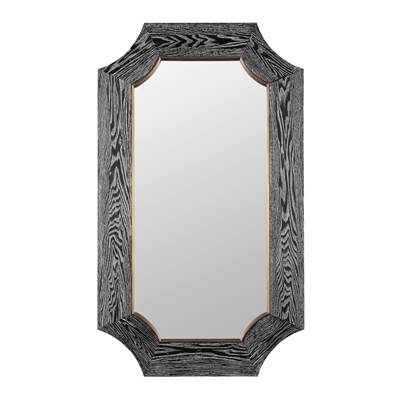 Varaluz Farra Mirror - 26" x 44" in Cerused Black Weathered Brass
