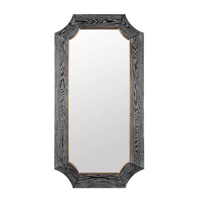 Varaluz Farra Mirror - 28" x 54" in Cerused Black Weathered Brass