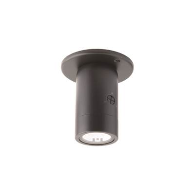 WAC Lighting Estrella LED Landscape Ceiling Outdoor Pendant in Black Aluminum
