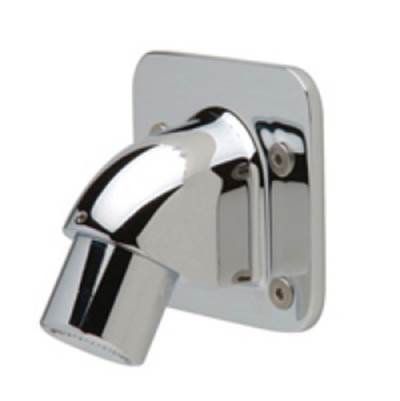Zurn Industries Institutional Wall Mount Shower Head - i2 - Aqua Panel - 1.25 GPM