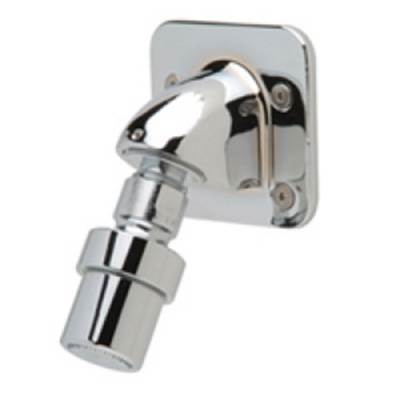 Zurn Industries Institutional Wall Mount Shower Head - i7 - Aqua Panel