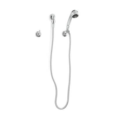 Zurn Industries Handwall - 60" Metal Hose with 2 Wall Hooks - 0.25 GPM in Chrome Plated