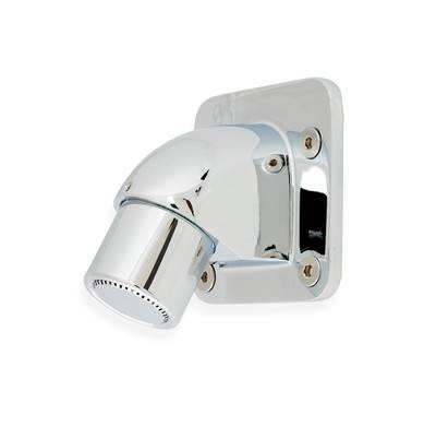 Zurn Industries Institutional Shower Head - Fixed Spray - 1.25 GPM in Chrome Plated