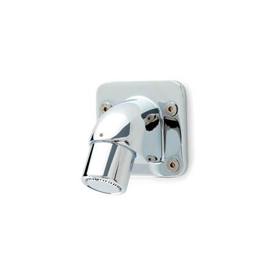 Zurn Industries Temp-Gard P Shower Head - Institutional - Fixed Spray - 2.5 GPM Max in Chrome Plated