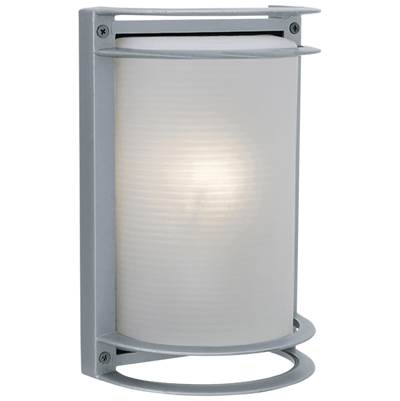 Access Lighting Nevis 1-Light Outdoor Wall Lantern in Satin