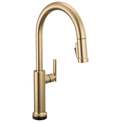 Delta Faucet Altado™ Touchless Kitchen Faucet - Touch2O - 1.8 GPM