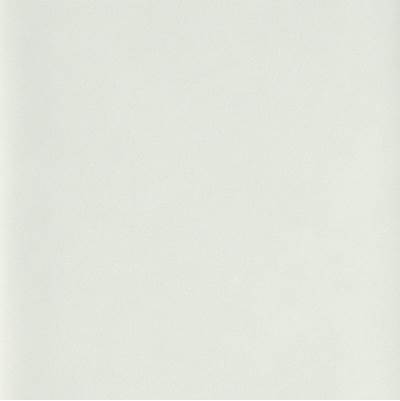 Kohler Enameled Cast Iron Finish Sample - 1" x 2"