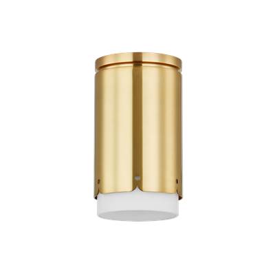 Mitzi Asa Flush Mount Light