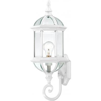 Nuvo Boxwood 22'' String Light - 1 Socket