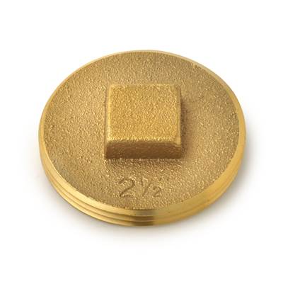 Oatey 187 Cleanout Plug with Raised Head - 2 1/2 In. in Brass