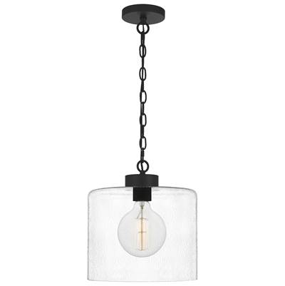 Quoizel Abner 15" Mini Pendant - 1-Light in Matte Black
