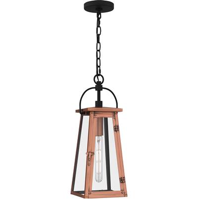 Quoizel Carolina 1-Light Hanging Lantern in Aged Copper