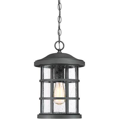 Quoizel Crusade Outdoor Hanging Lantern in Earth Black