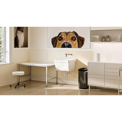 Swan Wall Mount Single Bowl Laundry Tub - Veritek - 22" x 23" in White