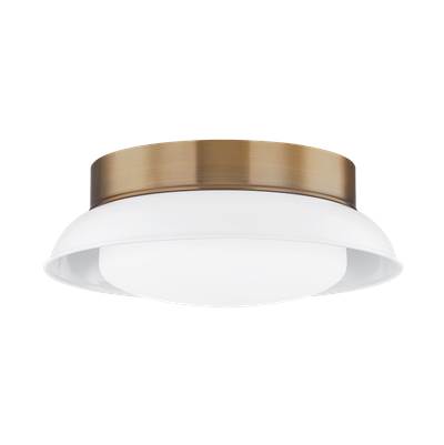 Troy Lighting Arnie Flush Mount Light