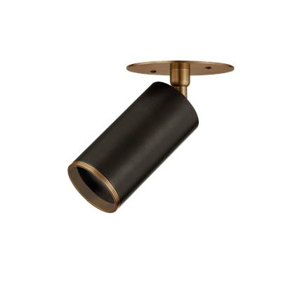 Troy Lighting Caleb Flush Mount Light