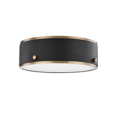 Troy Lighting Eli Flush Mount Light