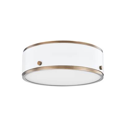 Troy Lighting Eli Flush Mount Light