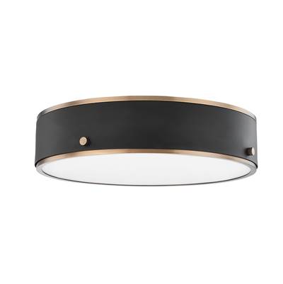 Troy Lighting Eli Flush Mount Light