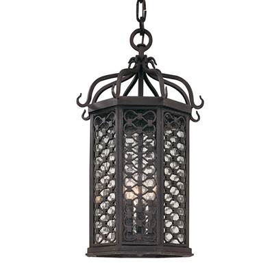 Troy Lighting Los Olivos 1-Light Lantern in Rustic