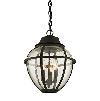 Troy Lighting Bunker Hill Lantern in Vibrant Bronze Zafire