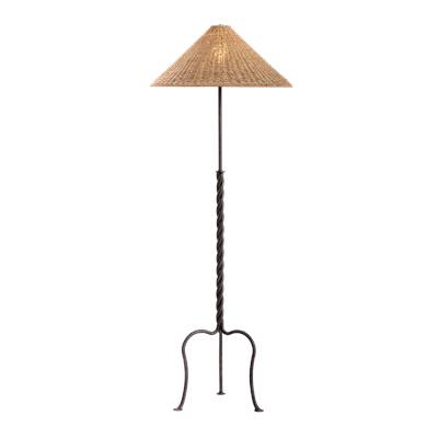 Troy Lighting Francisco Floor Lamp in Iron