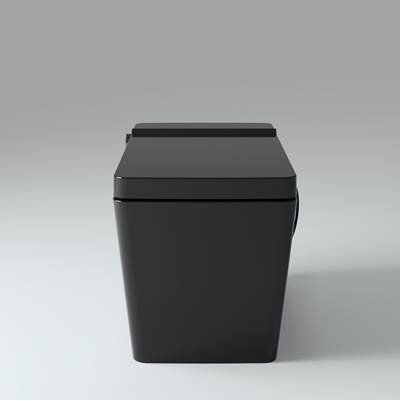 Villeroy And Boch Memento 2500CS One Piece Smart Toilet in Matte Black