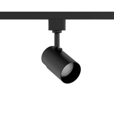 WAC Lighting X-10-30 Outdoor Track Luminaire in Black